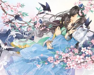 含羞草影业